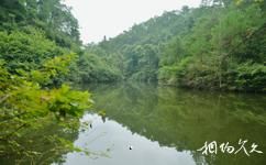 桂林灕江逍遙湖旅遊攻略之榕溪