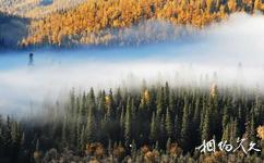 新疆賽里木湖旅遊攻略之松頭霧瀑