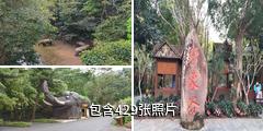 西双版纳野象谷驴友相册