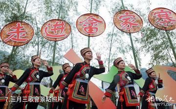 雲和江南畲族風情村-三月三歌會照片