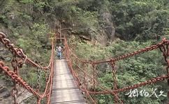汕尾海丰莲花山度假村旅游攻略之铁索桥