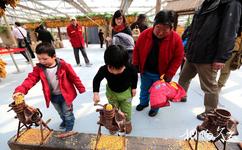 昌平北京农业嘉年华草莓博览园旅游攻略之农事活动