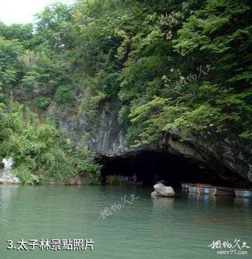 桐廬垂雲通天河景區-太子林照片