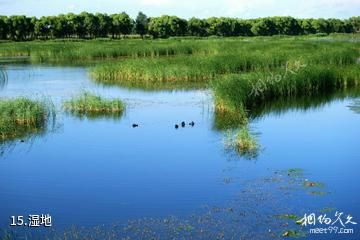 佳木斯富锦国家湿地公园-湿地照片