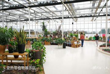 许昌五彩大地观光休闲旅游区-亚热带植物展示区照片