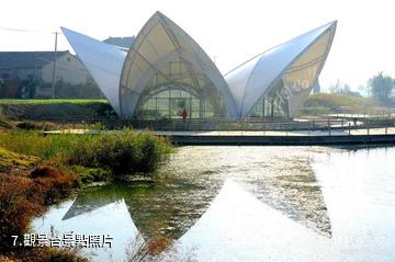 海安七星湖生態園-觀景台照片
