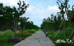 杭州西溪國家濕地公園旅遊攻略之壽堤