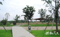 上海辰山植物園旅遊攻略之珍稀植物園