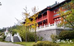 青岛珠山国家森林公园旅游攻略之菩提寺