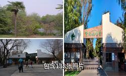 合肥植物园驴友相册