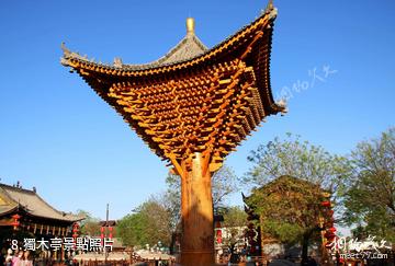 西安白鹿原·白鹿倉景區-獨木亭照片