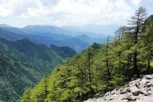 陕西宝鸡眉县营头旅游攻略-营头镇景点排行榜