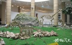 和政古動物化石博物館旅遊攻略之和政古動物