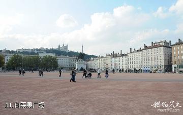 法国里昂-白莱果广场照片