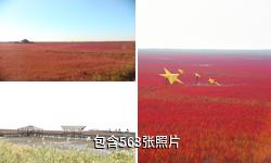 盘锦红海滩风景区驴友相册