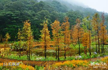 广州从化石门国家森林公园-红枫湖照片