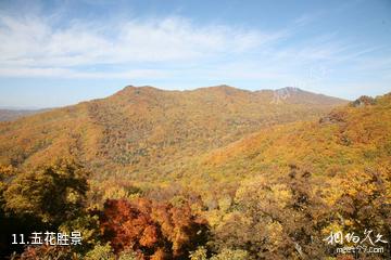 森工清河林区旅游景区-五花胜景照片