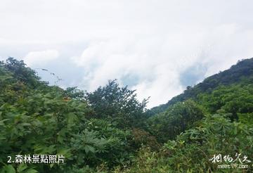 桂林興安老山界龍潭江景區-森林照片