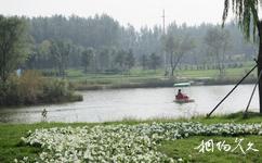 滨州秦皇河公园旅游攻略之沙洲湿地