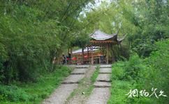 惠州香溪堡旅游攻略之香溪竹林