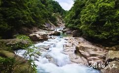 郴州九龙江国家森林公园旅游攻略之九龙戏水