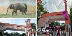 南宁动物园驴友相册