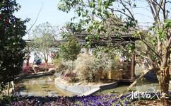 青岛百果山世界园艺博览会旅游攻略之安徽园