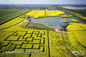 张家港常阴沙生态农业旅游区照片