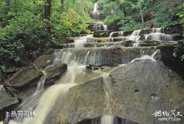 洪都拉斯雷奥普拉塔诺生物圈保留地-热带雨林照片