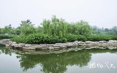 昌樂桂河濕地公園旅遊攻略之濕地