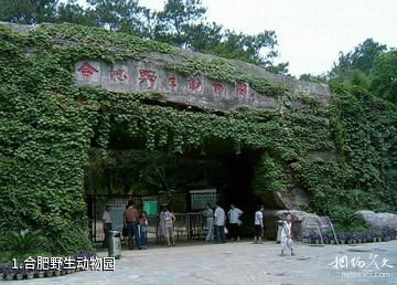 合肥野生动物园照片