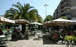 阿爾巴尼亞地拉那市旅遊攻略之咖啡館