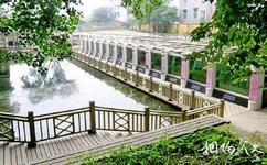 中国科学院武汉植物园旅游攻略之沉水植物区