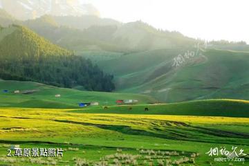 烏蘇巴音溝景區-草原照片