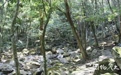 福清靈石山國家森林公園旅遊攻略