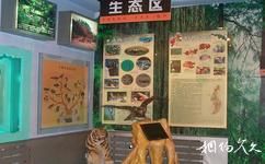 吉林靖宇火山礦泉群地質博物館旅遊攻略之生態區