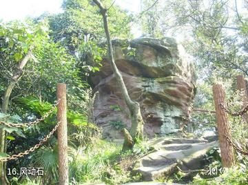 重庆圣灯山森林公园-风动石照片