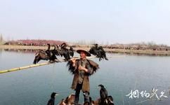 泗洪洪泽湖湿地旅游攻略之鱼跳谷