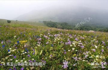 遼河源國家森林公園-馬盂山草原花海照片