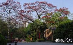 广州中山纪念堂旅游攻略之古树名木