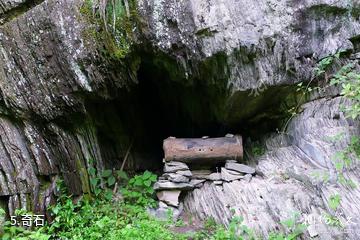 陕西青木川国家级自然保护区-奇石照片