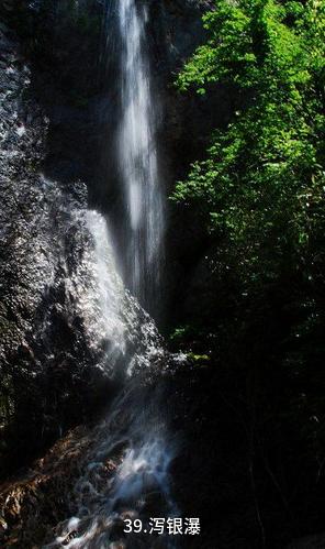 岳西妙道山风景区-泻银瀑照片