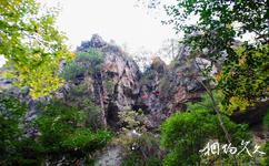 綏寧黃桑自然保護區旅遊攻略之山峰