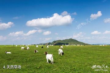 黔西南州兴仁放马坪景区-天然草场照片