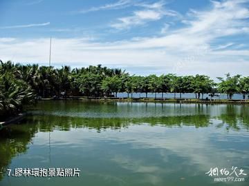 海口南麗湖風景區-膠林環抱照片
