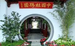第八届中国花博会[常州]旅游攻略之杜鹃分会