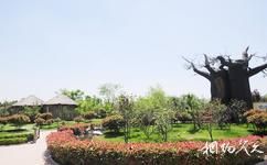 中国绿化博览园旅游攻略之刚果（金）园