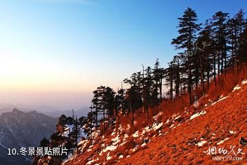 陝西長青國家級自然保護區-冬景照片