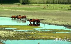 內蒙古自治區額爾古納市旅遊攻略之三河馬