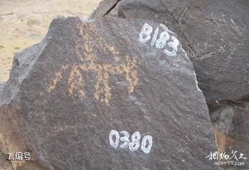 阿拉善盟曼德拉山岩画-编号照片